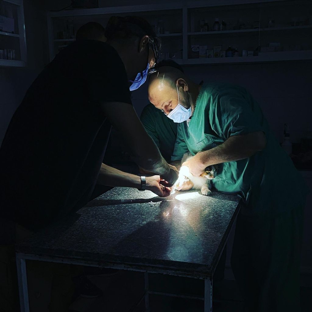 Emergency surgery during a power cut — monthly gifts keep the clinic running